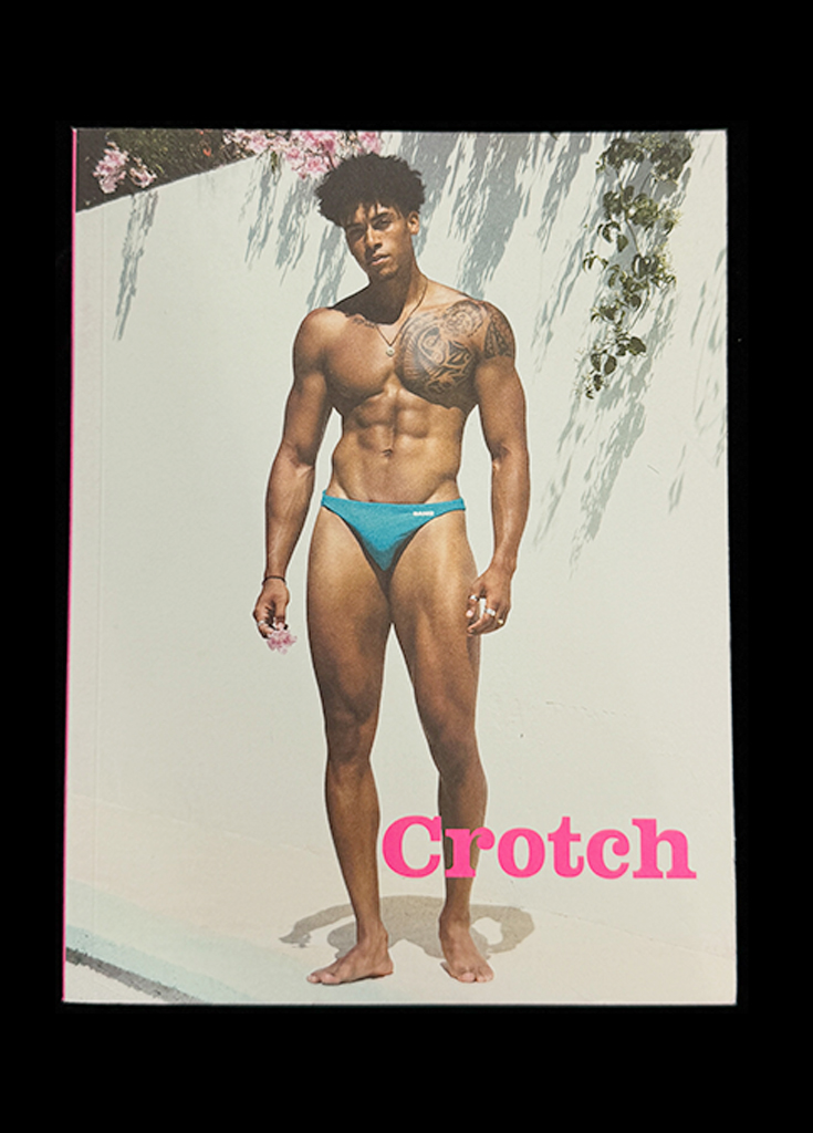 CROTCH DAMAGED ISSUE 8 ROBERT COVER